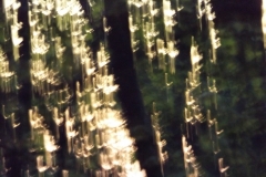 DSCF2426