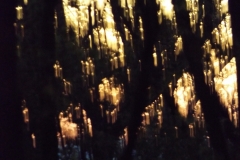 DSCF2430