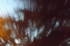 DSCF3506