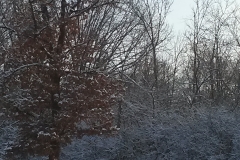 CAM00134