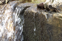 DSCF0245
