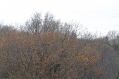 DSCF0268