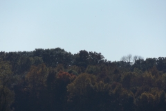 DSCF0664