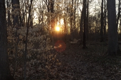 DSCF0874