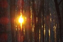 DSCF0893