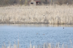 DSCF1092