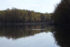 DSCF1284