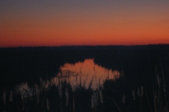 DSCF1580