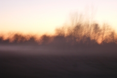 DSCF1589