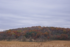 DSCF1614