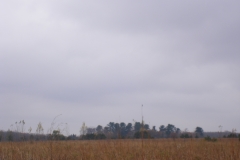 DSCF1689
