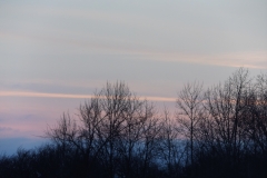 DSCF1823