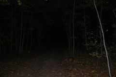DSCF1895