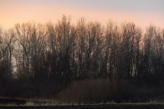 DSCF1907