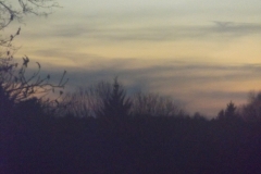 DSCF1919