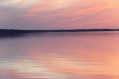 DSCF2211
