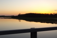 DSCF2551