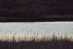 DSCF2597
