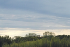 DSCF2616