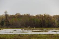 DSCF2697