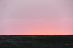 DSCF2847