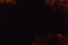 DSCF3428