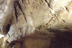 DSCF4010