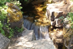 DSCF4075
