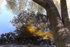 DSCF4152