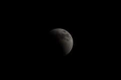 DSCF4209