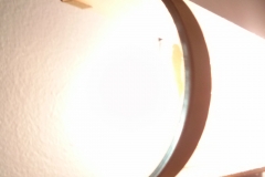 CAM00834