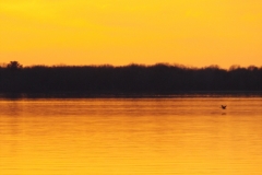 DSCF2095